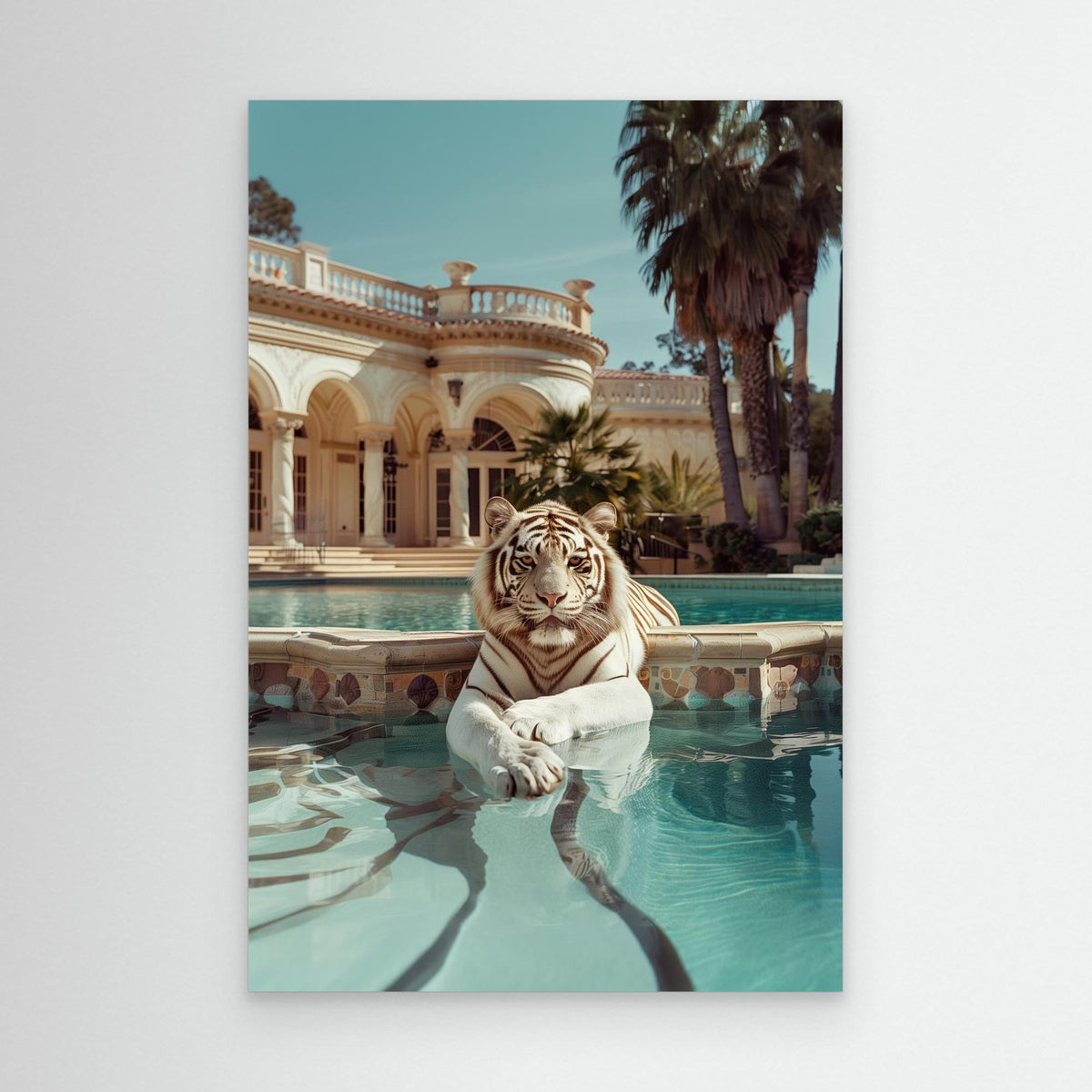 Tiger Nap