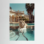 Tiger Nap, affiche sur papier fine art de MaxL : un tigre blanc fait la sieste au bord d'une piscine