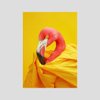 Diva Flamingo Portrait, affiche sur papier fine art de MaxL : un flamant rose drapé dans une étoffe jaune, sur fond jaune